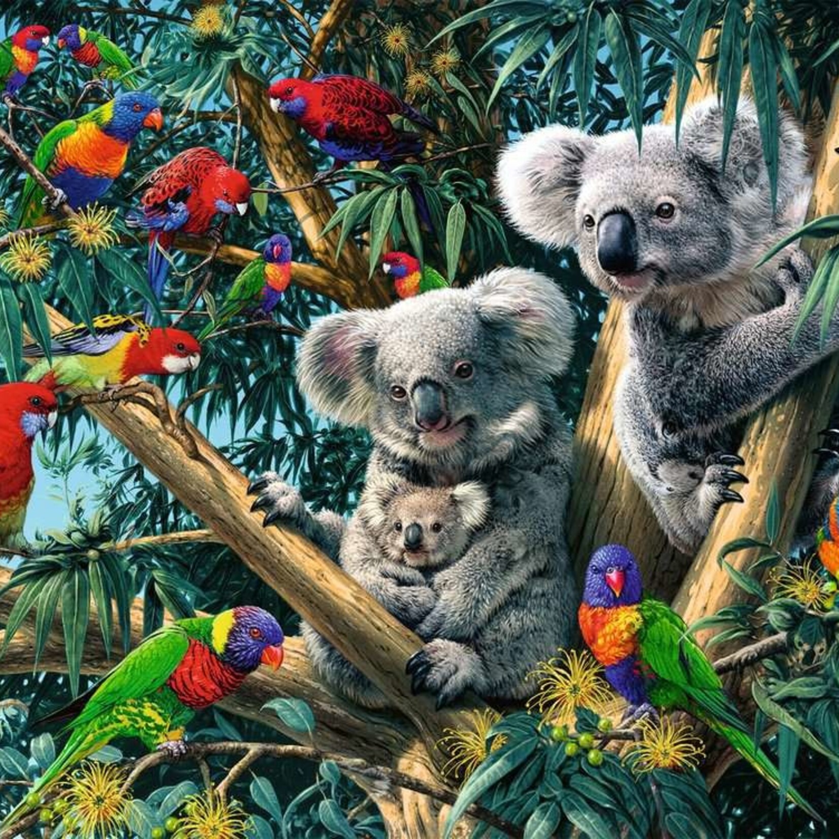 Ravensburger Ravensburger 500 - Koalas dans l'arbre
