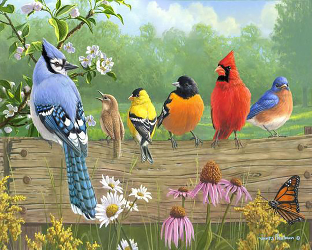Figured'Art Figured'Art  Oiseaux sur la barrière (Cadre)