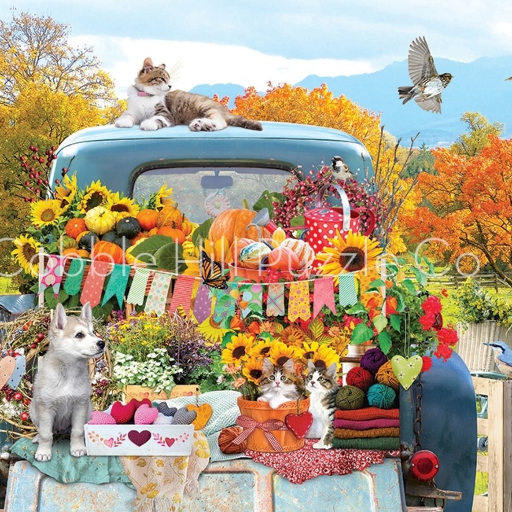 Cobble Hill Cobble Hill 500 - Country Truck in Autumn