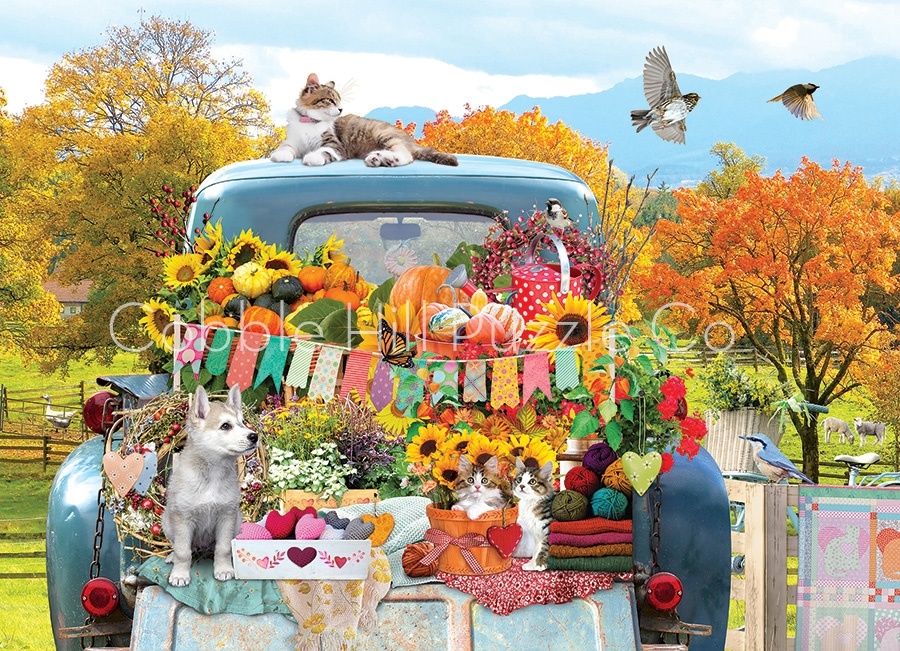 Cobble Hill Cobble Hill 500 - Country Truck in Autumn