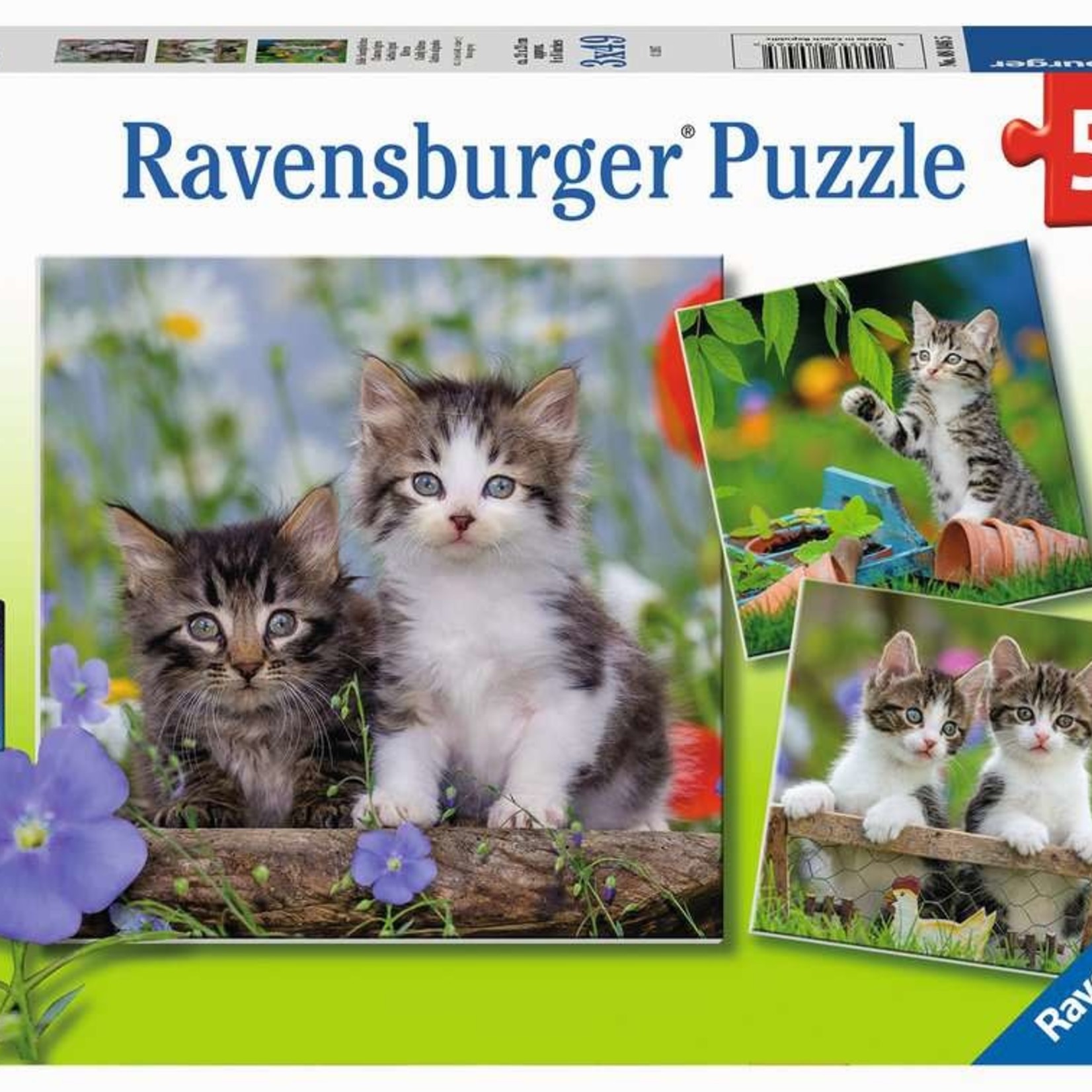 Ravensburger Ravensburger 3x49 - Chatons tigrés