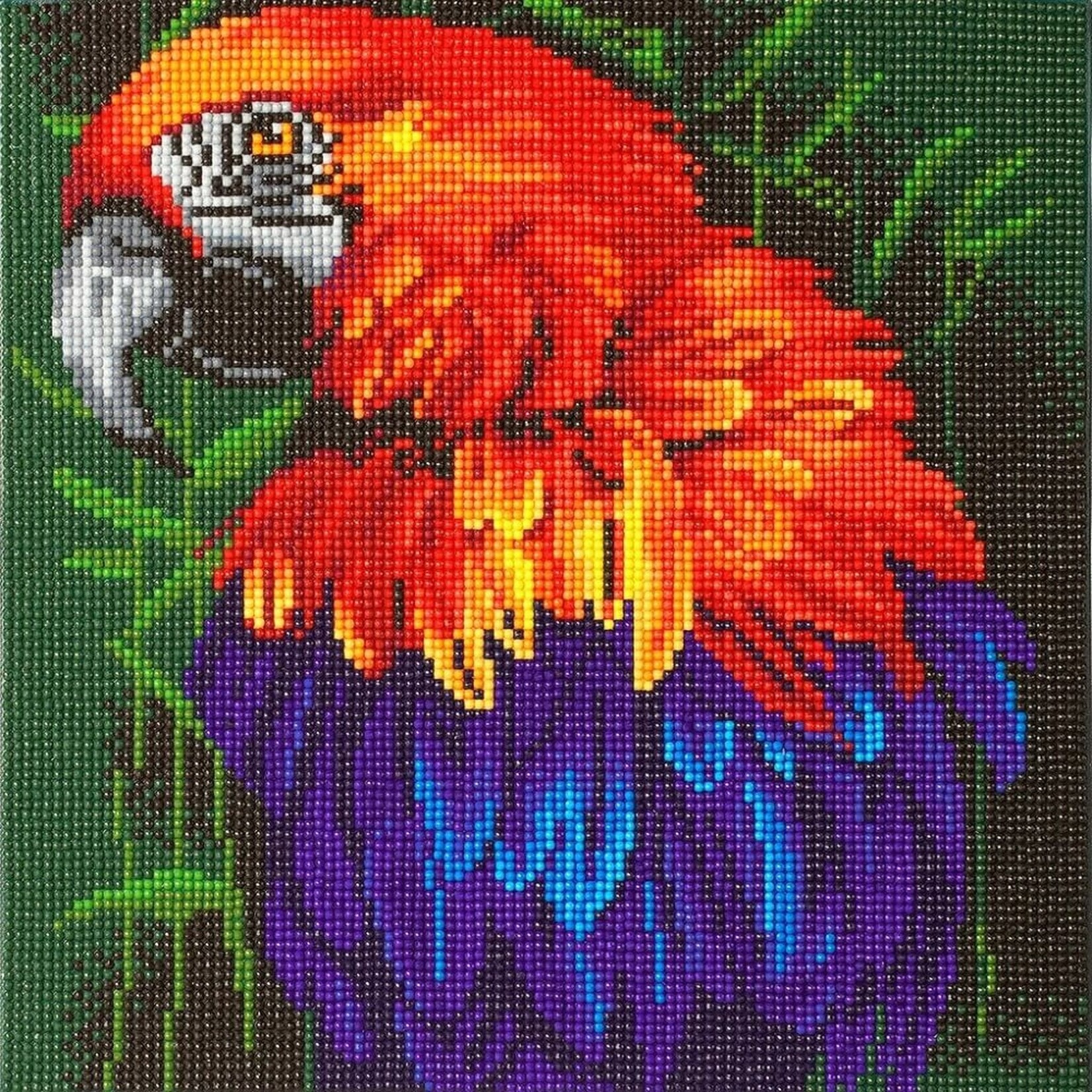 Craft Buddy Craft Buddy - Crystal Art - Tropical Bird (30 x30 cm)e bois 30 x 30 cmTropical Bird