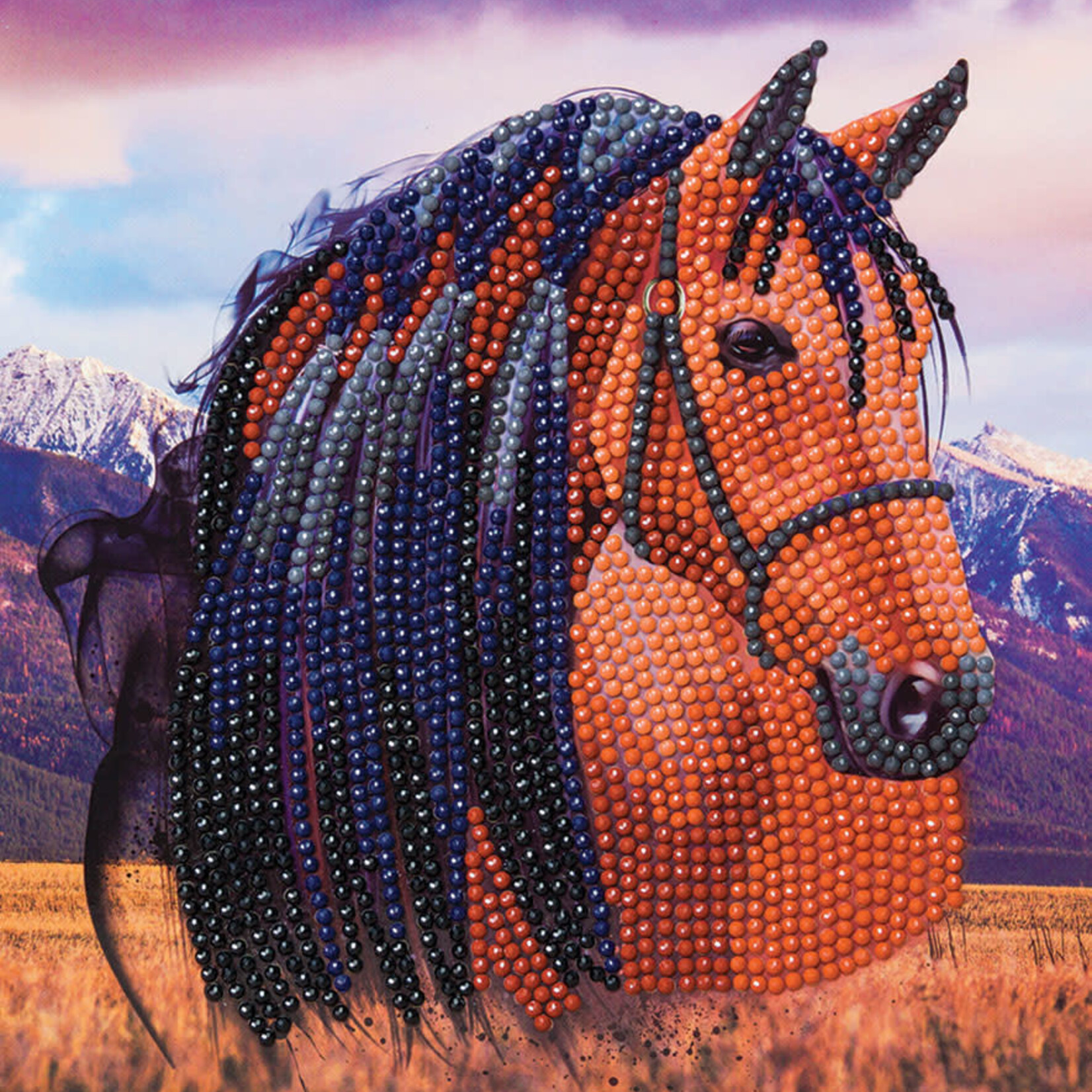 Craft Buddy Crystal Art Carte Kit Horse