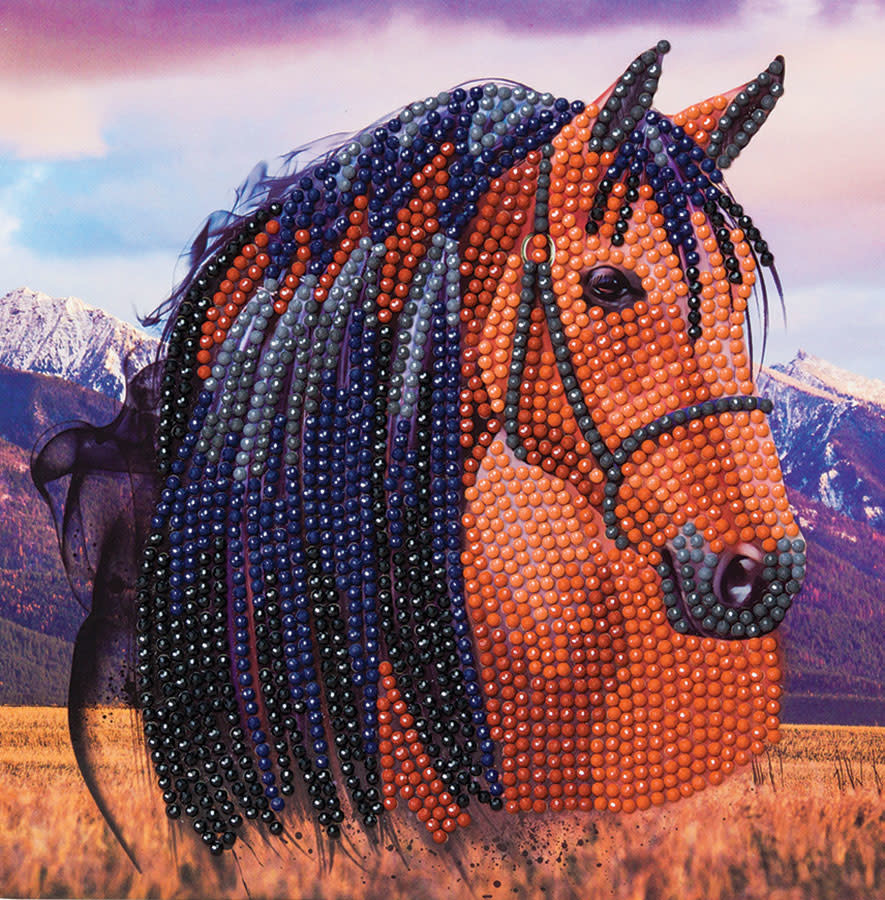 Craft Buddy Crystal Art Carte Kit Horse