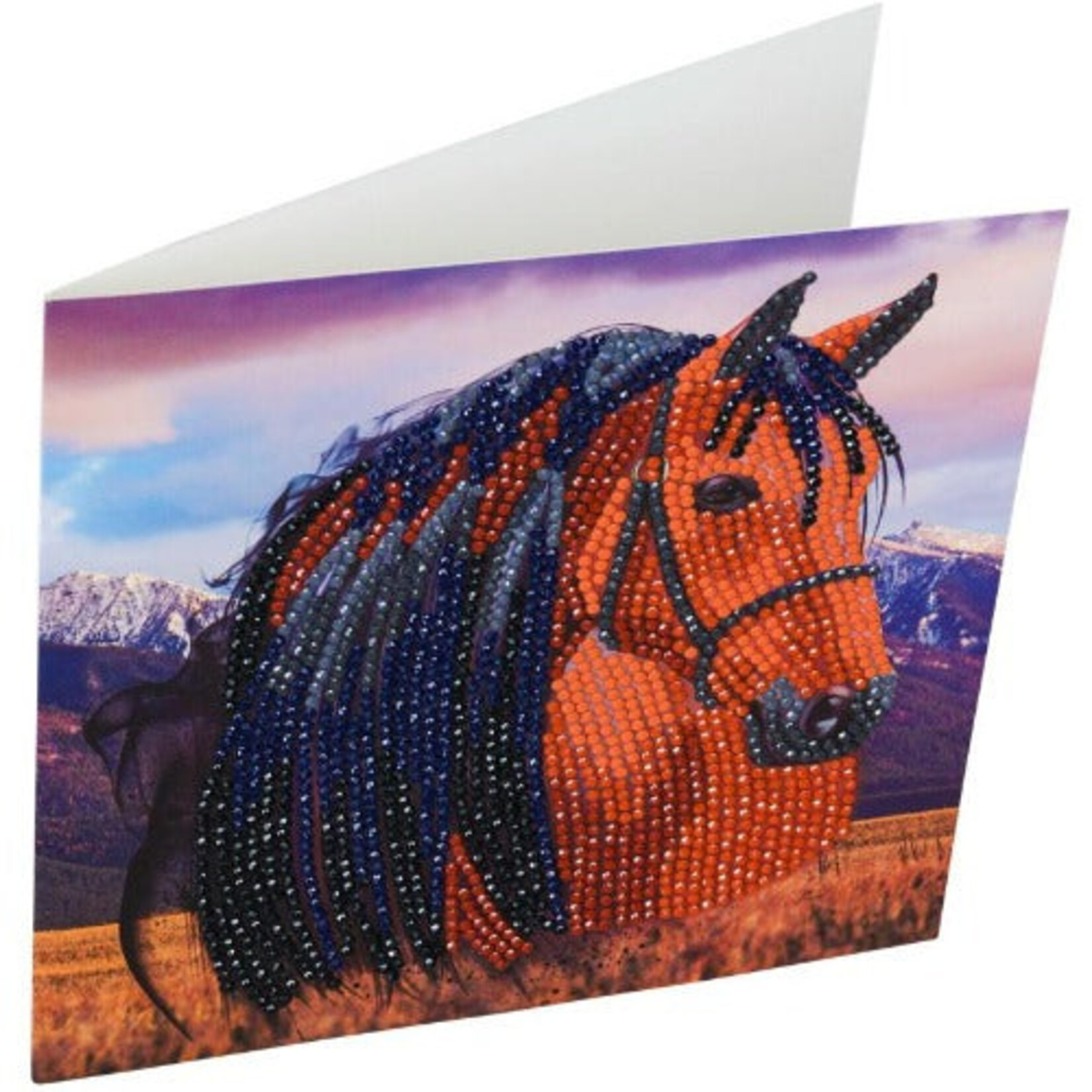 Craft Buddy Crystal Art Carte Kit Horse