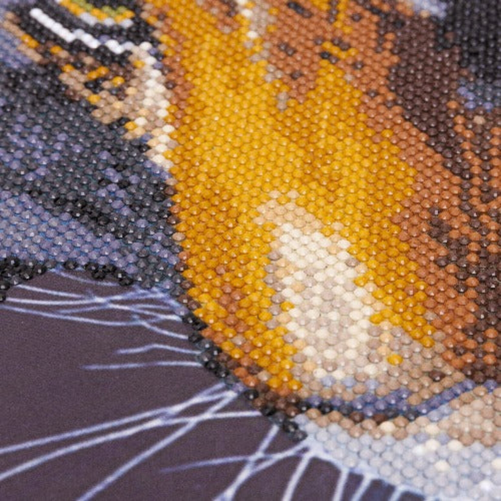 Craft Buddy Craft Buddy - Crystal Art  - The Tiger (70 x 70 cm)