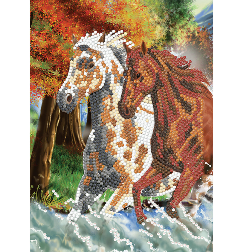 Craft Buddy Crystal Art - Carnet : Wild Horses