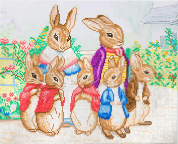 Craft Buddy Craft Buddy - Crystal Art - Peter Rabbit & Family (40 x 50 cm)