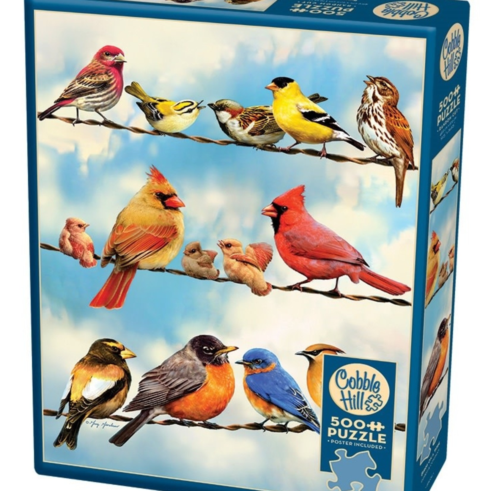 Cobble Hill Cobble Hill 500 - Birds on a Wire
