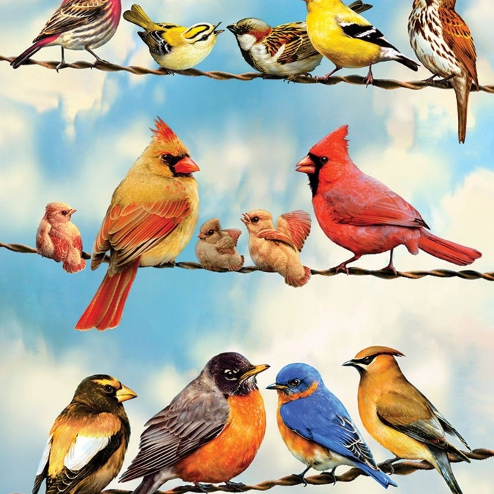Cobble Hill Cobble Hill 500 - Birds on a Wire
