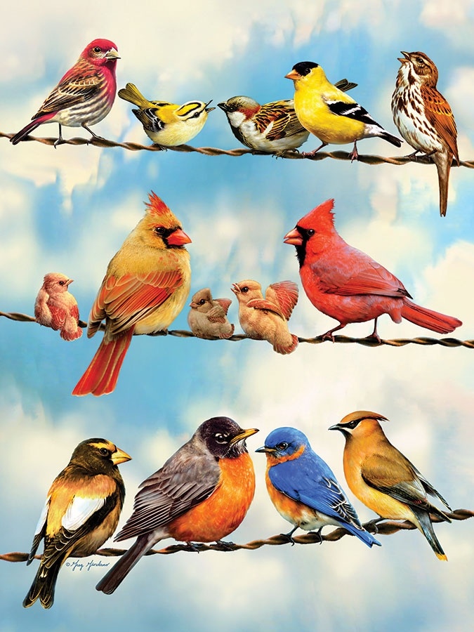 Cobble Hill Cobble Hill 500 - Birds on a Wire