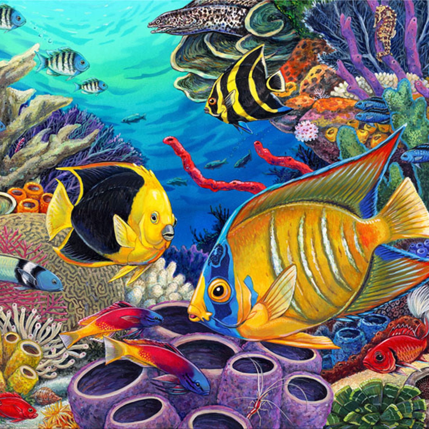 Royal & Langnickel Royal & Langnickel – Painting by Numbers Junior Large : Récif des Caraïbes
