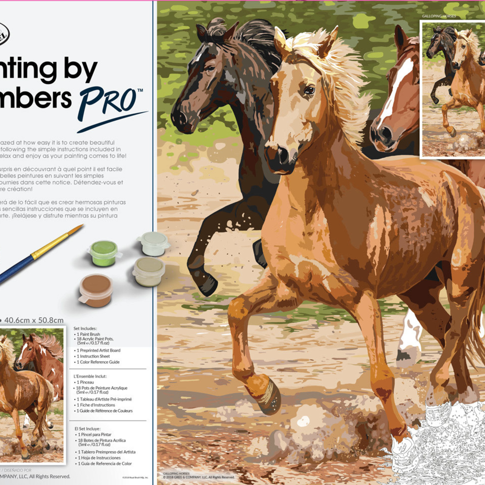Royal & Langnickel Royal & Langnickel - Painting by Numbers Pro : Galloping Horses