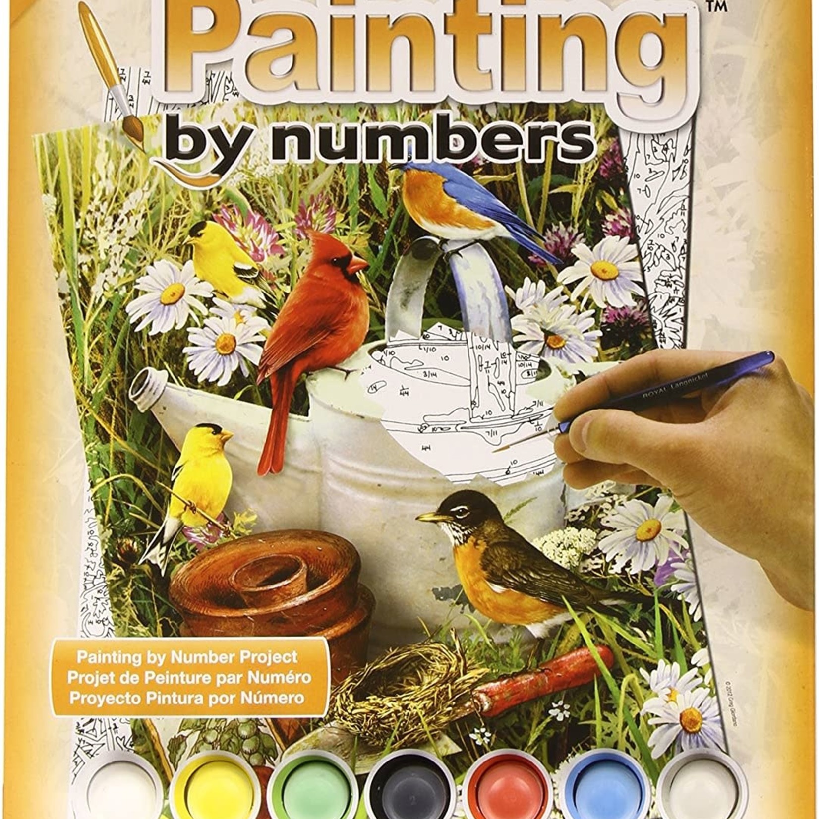 Royal & Langnickel Royal & Langnickel – Painting by Numbers Junior Small - Oiseaux de jardin