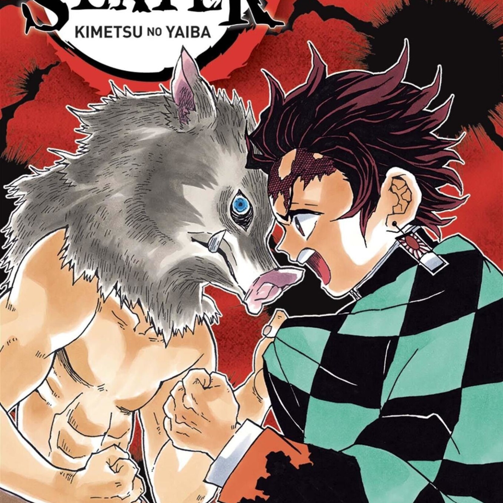 Panini Manga Manga - Demon Slayer Tome 04