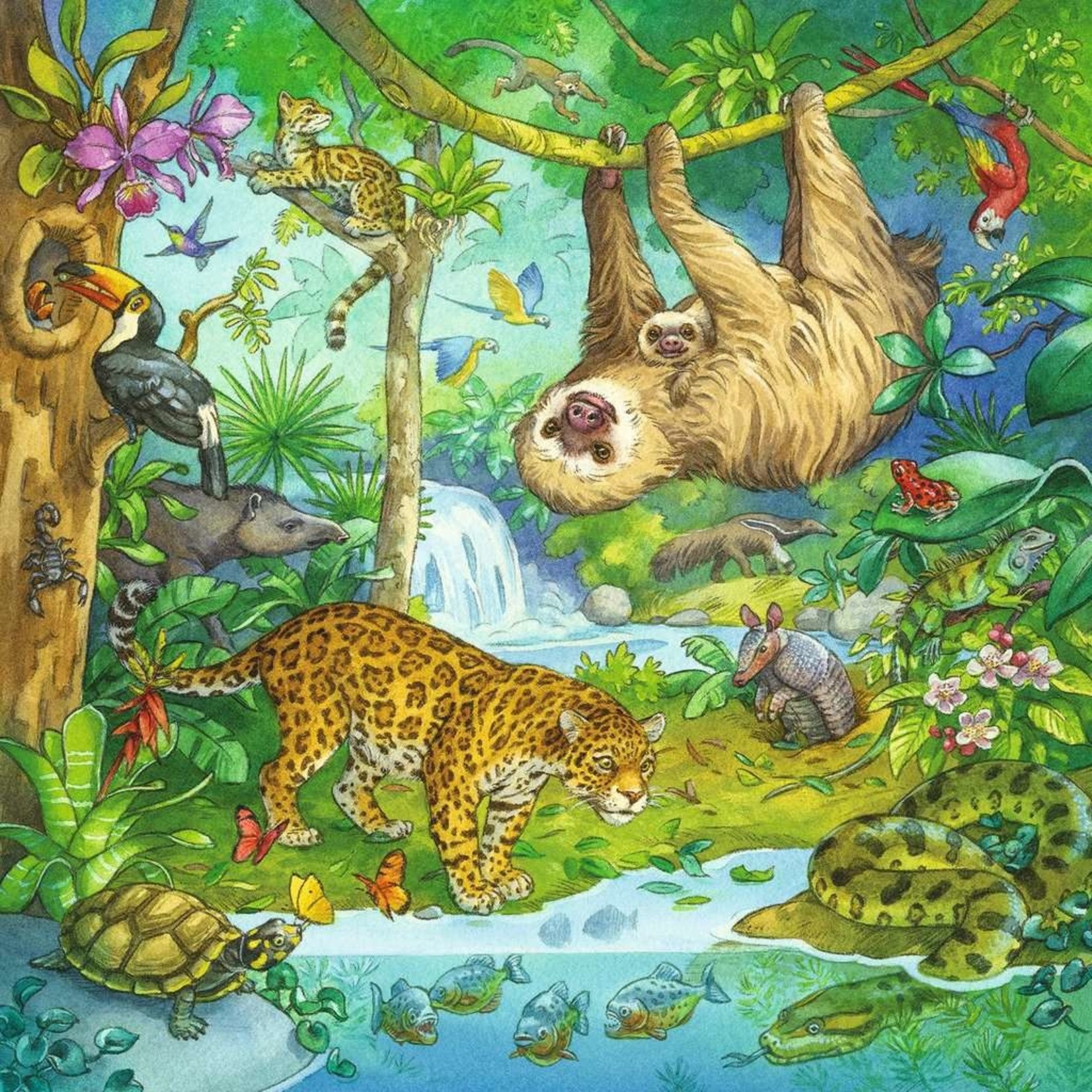 Ravensburger *****Ravens 3x49 - Dans la jungle