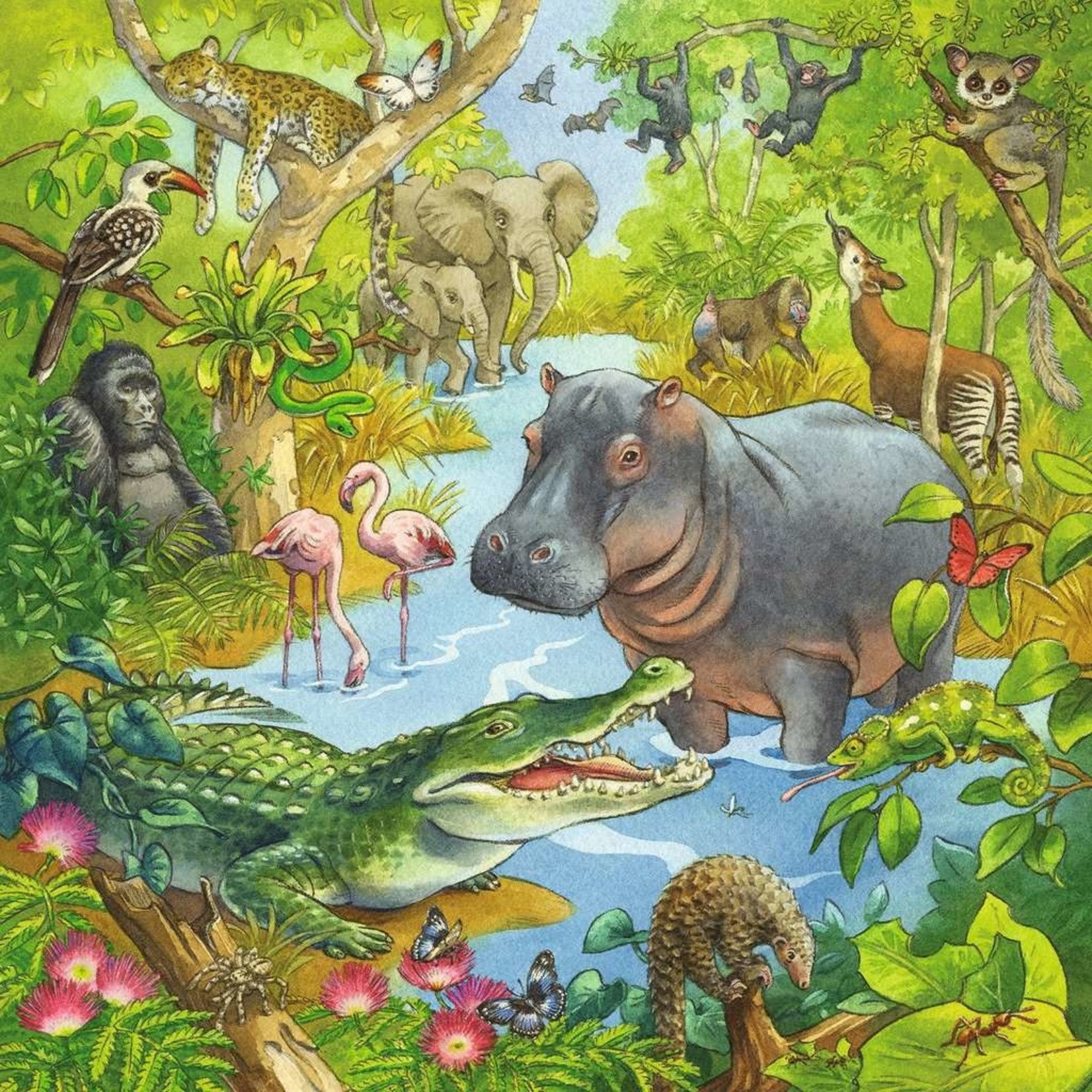Ravensburger *****Ravens 3x49 - Dans la jungle