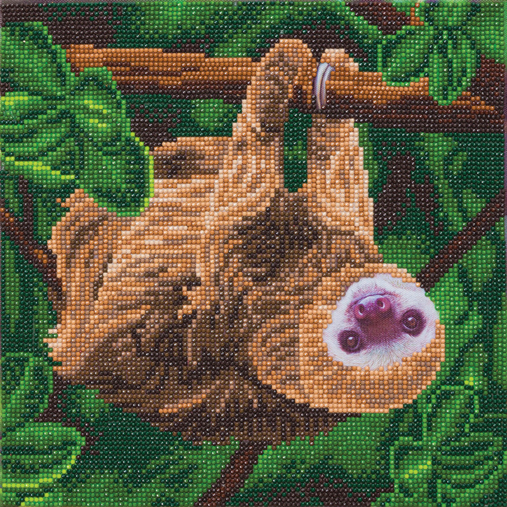Craft Buddy Craft Buddy - Crystal Art - Two Toed Sloth (30 x 30 cm)