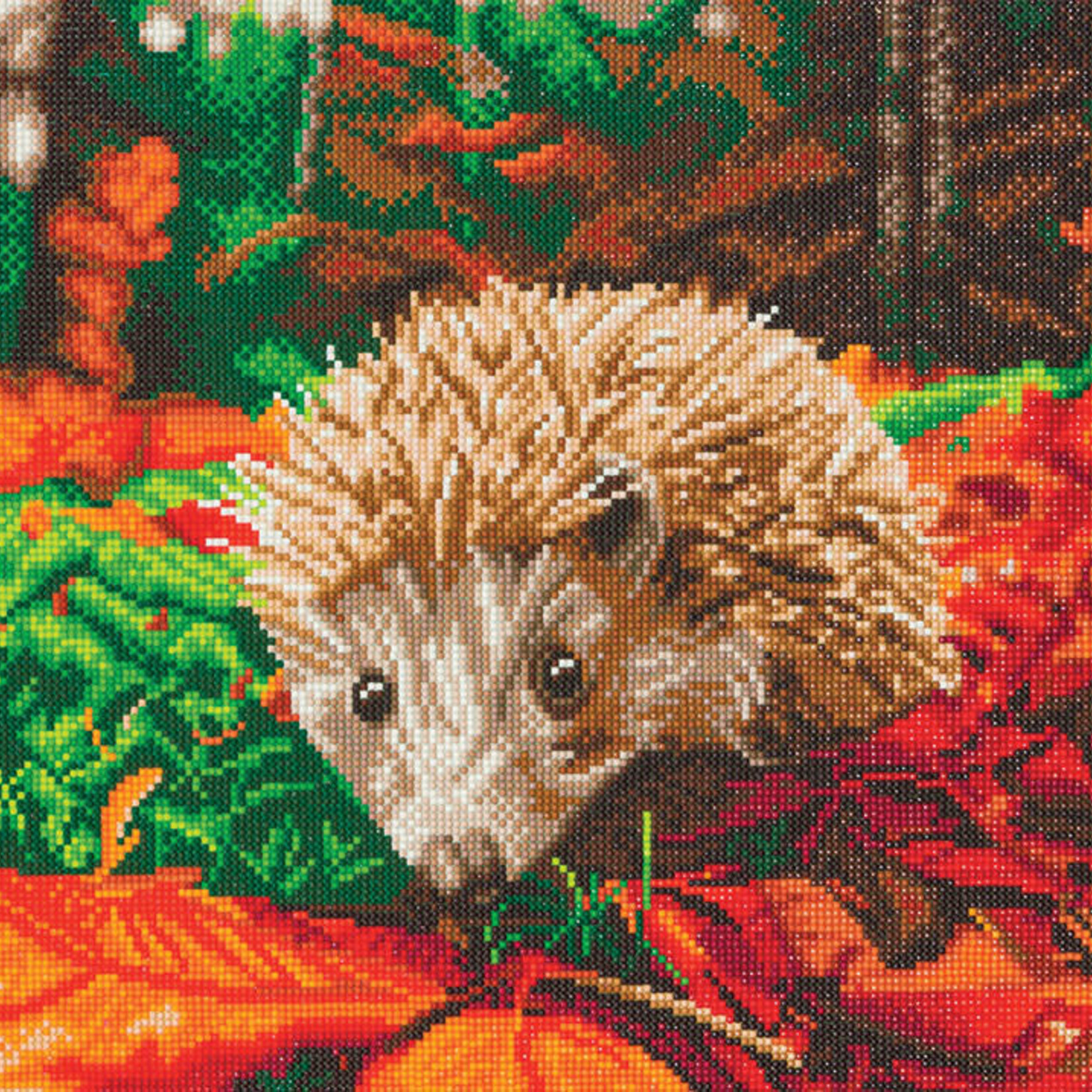 Craft Buddy Craft Buddy - Crystal Art - Forest Hedgehog (40 x 50 cm)
