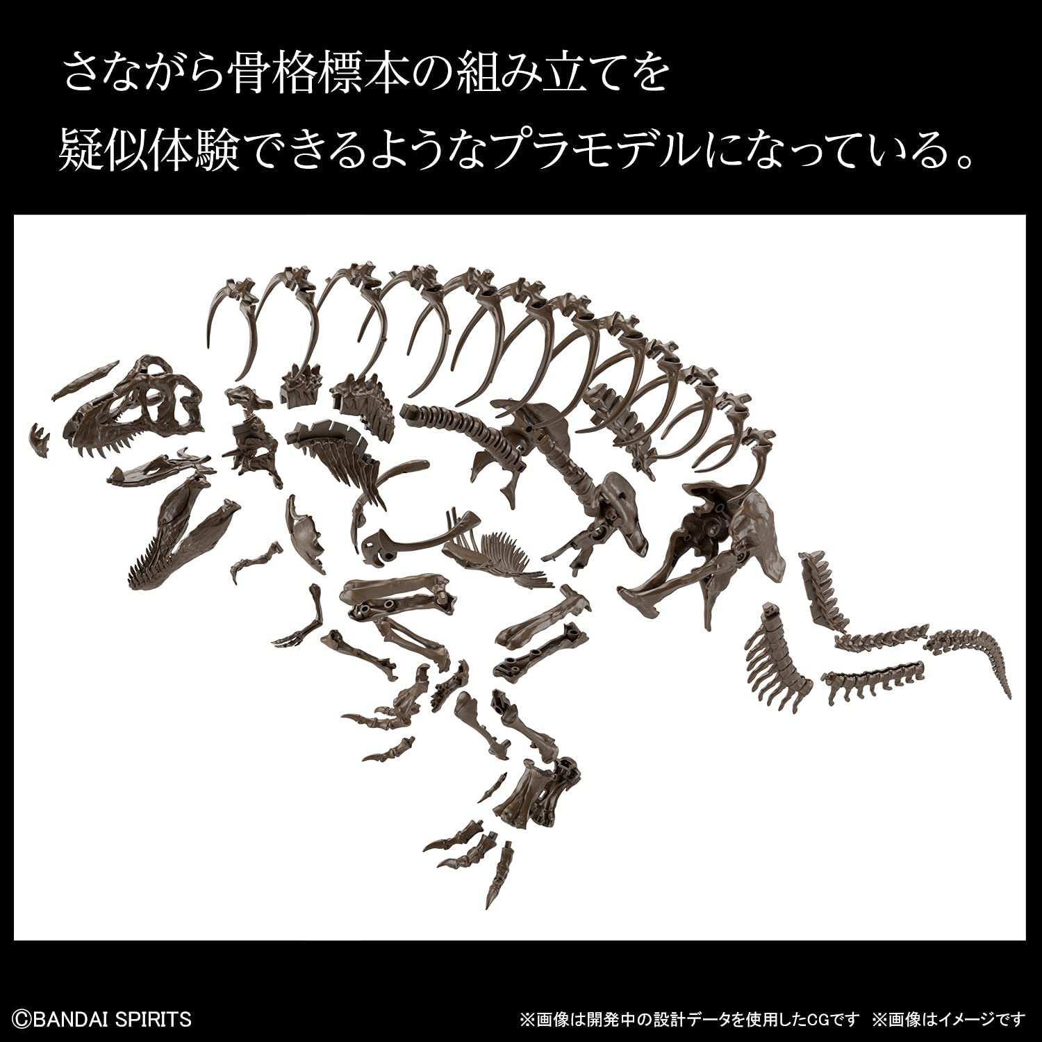 Bandai Bandai - Imaginary Skeleton - Tyrannosaurus