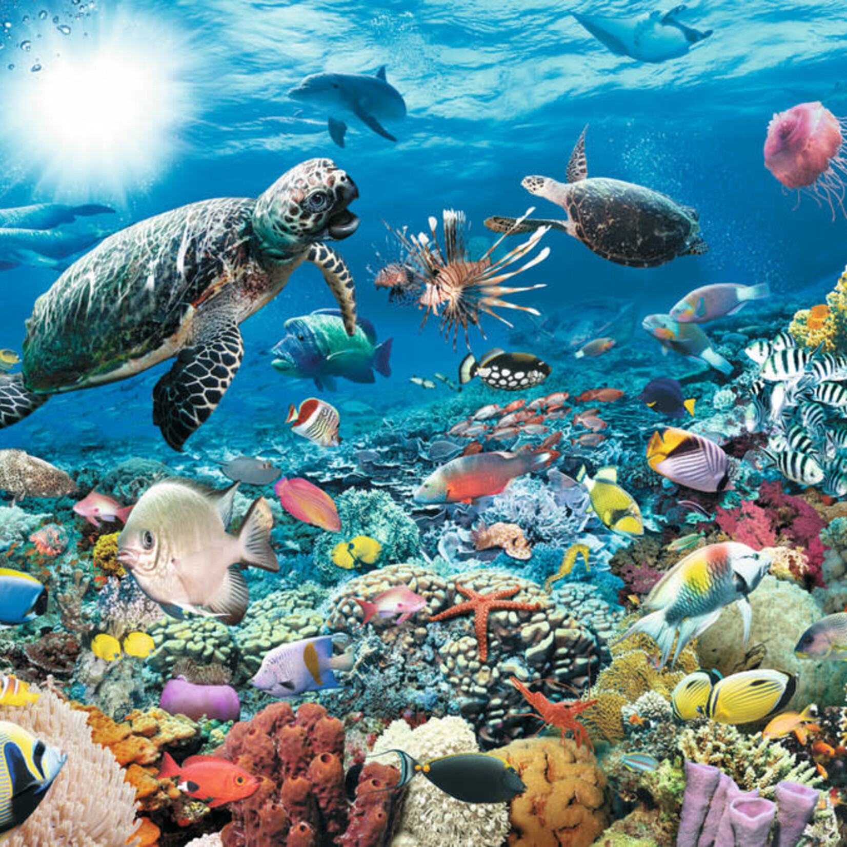 Ravensburger Ravens 5000 - Sous la mer