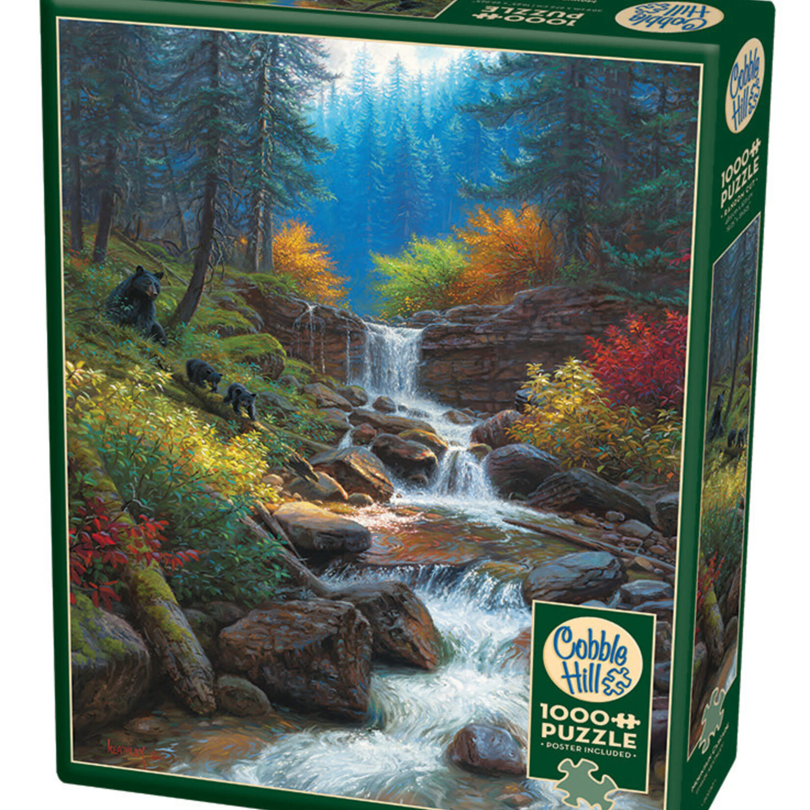 Cobble Hill Cobble Hill 1000 - Mountain Cascade