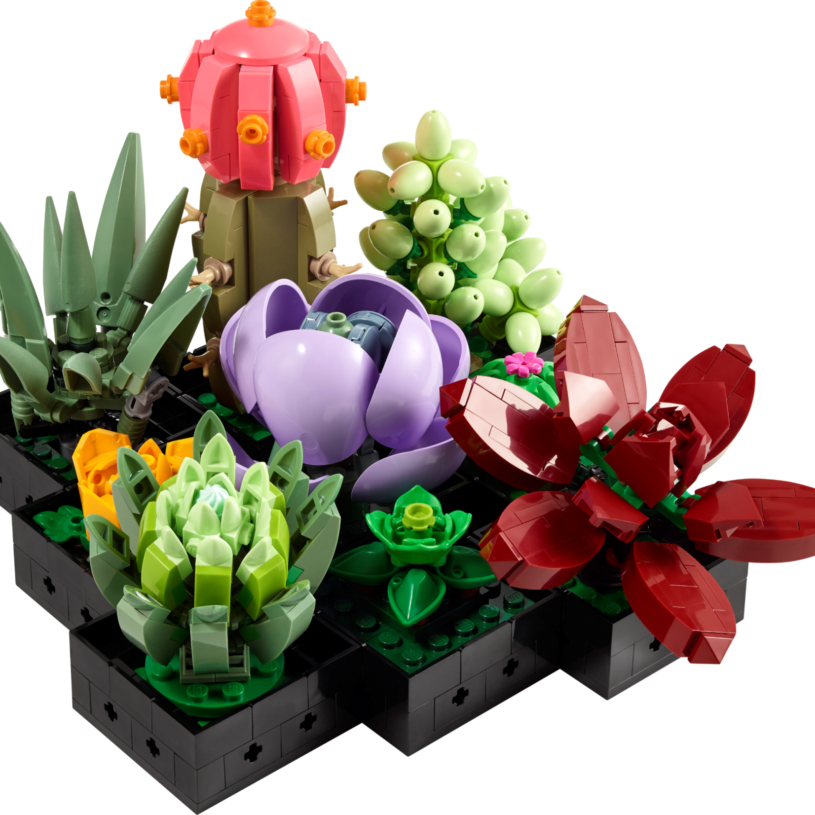 Lego Lego 10309 Botanicals - Les Succulentes