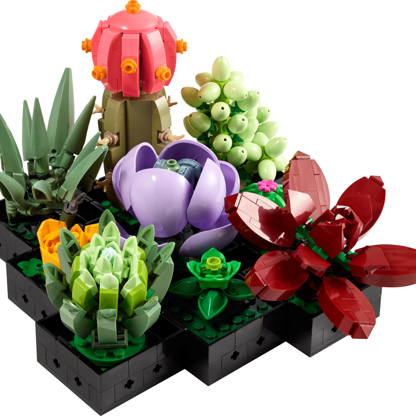 Lego Lego 10309 Icons - Botanical Collection - Les Succulentes
