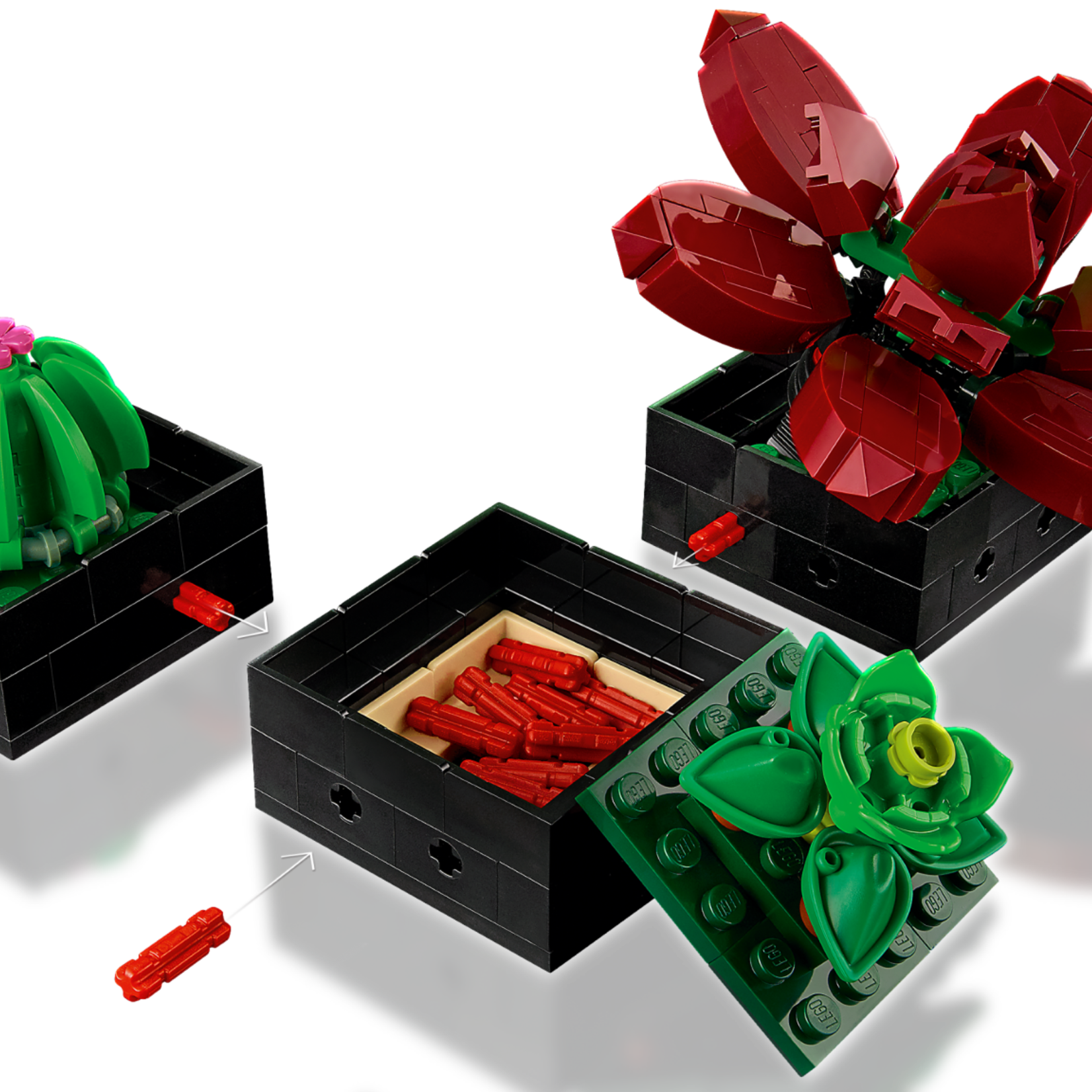 Lego Lego 10309 Botanicals - Les Succulentes