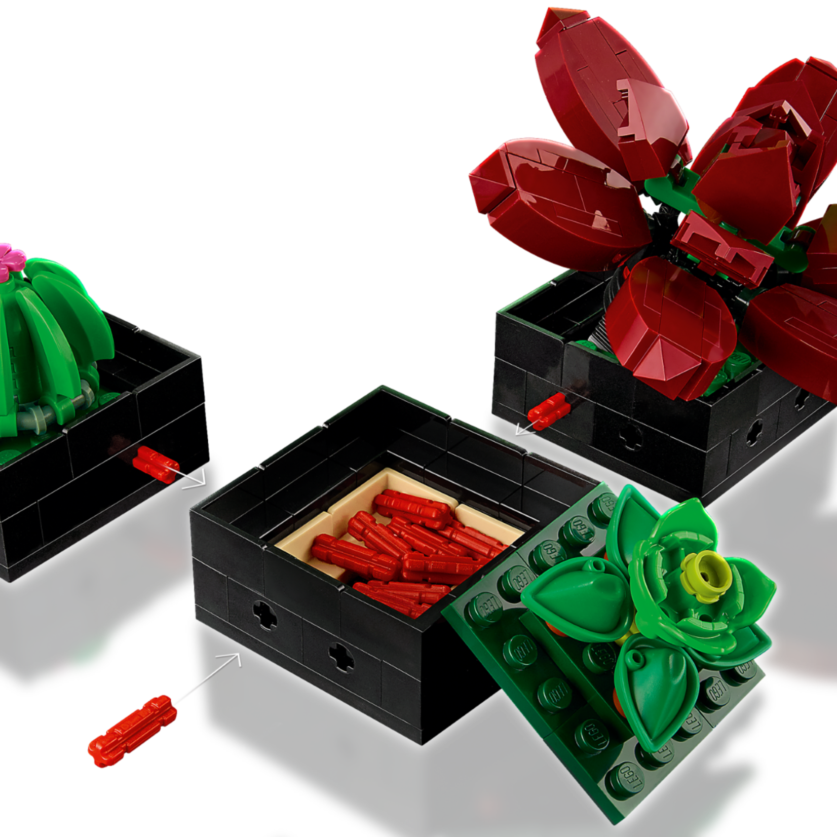 Lego Lego 10309 Icons - Botanical Collection - Les Succulentes