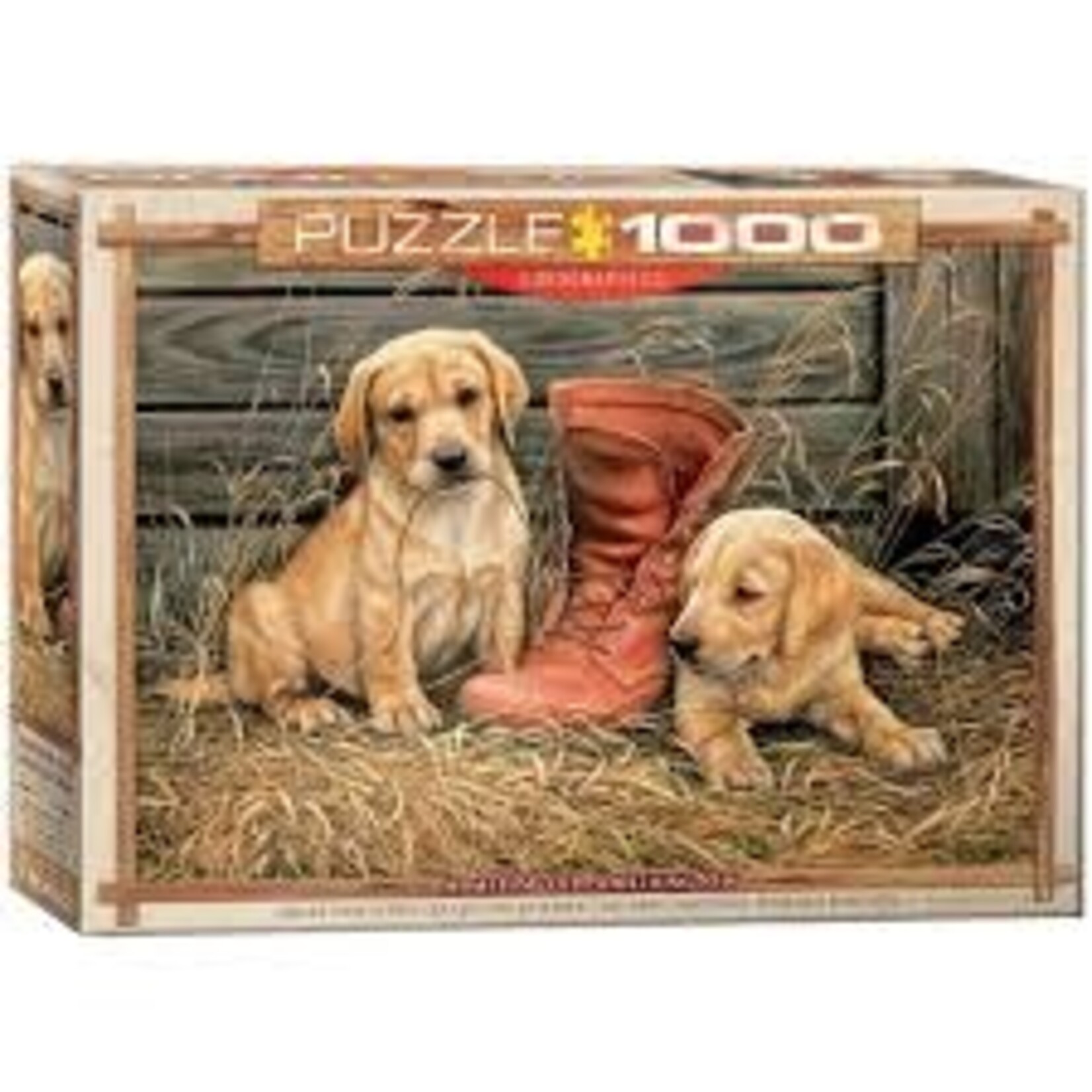 Eurographics *****Eurographics 1000 - Quelque chose de vieux, quelque chose de nouveau