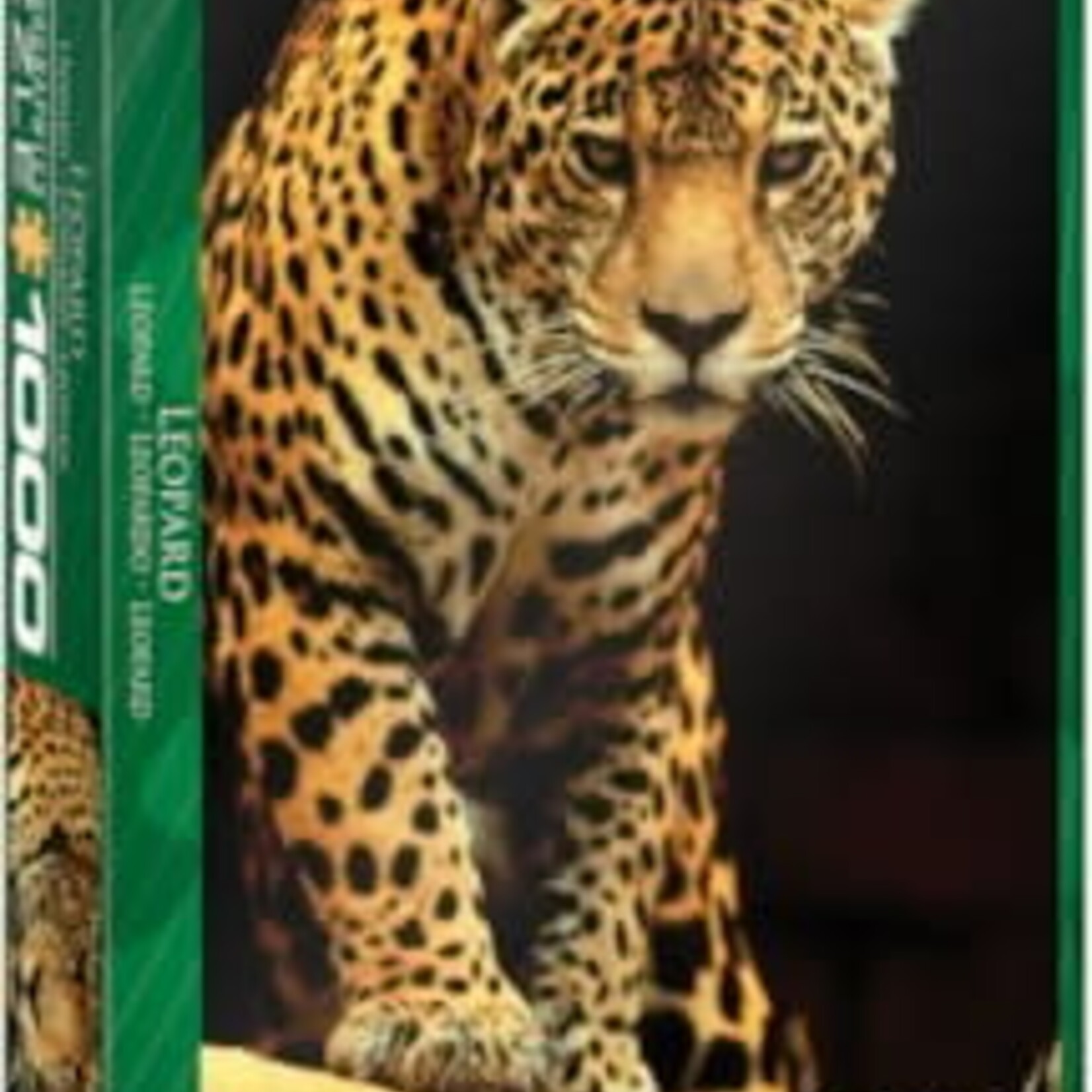 Eurographics Eurographics 1000 - Léopard