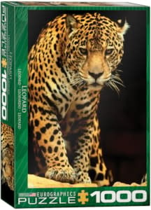 Eurographics Eurographics 1000 - Léopard