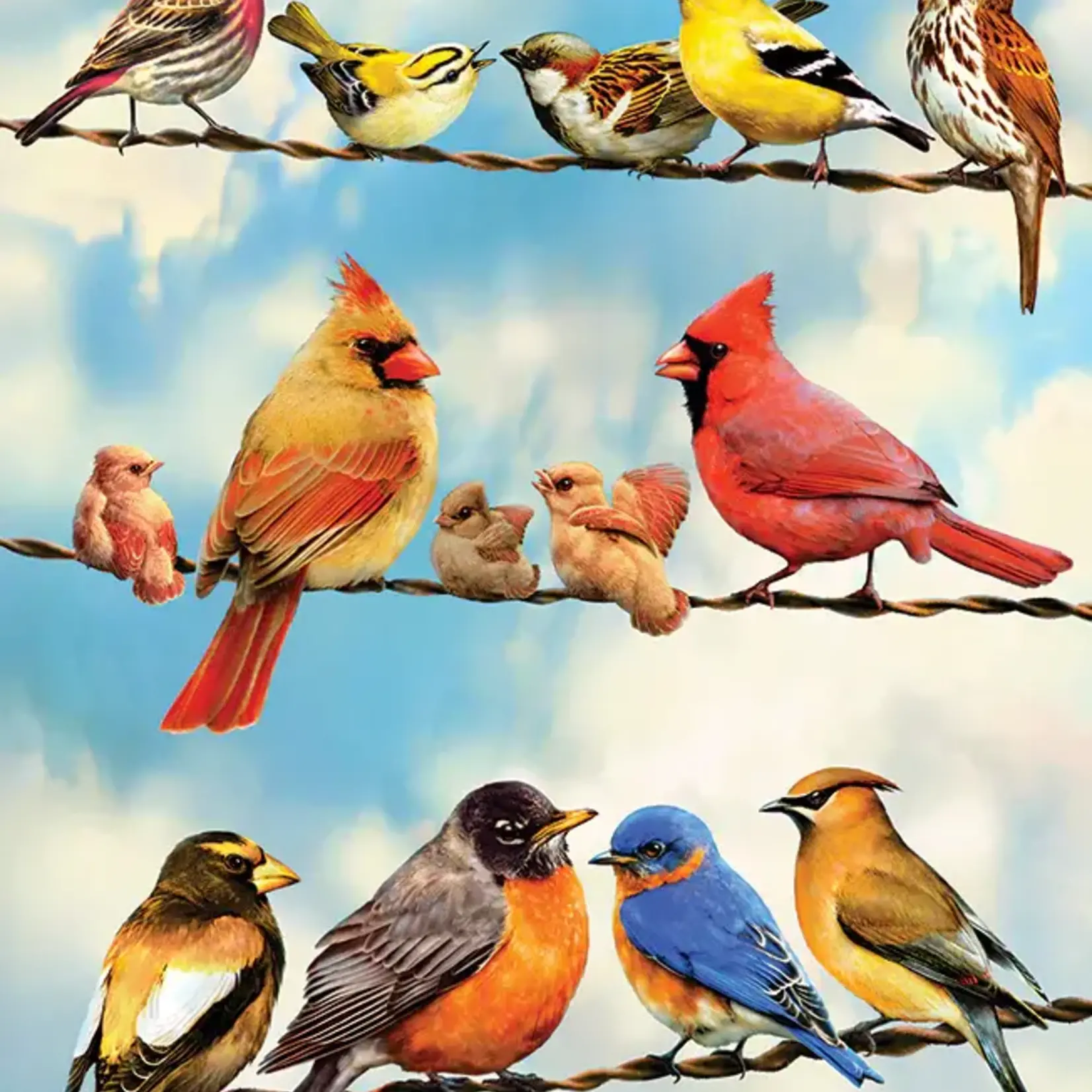 Cobble Hill Cobble Hill 35 - Blue Sky Birds (Tray)