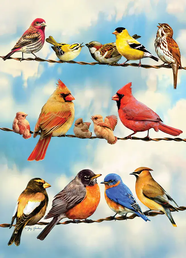 Cobble Hill Cobble Hill 35 - Blue Sky Birds (Tray)