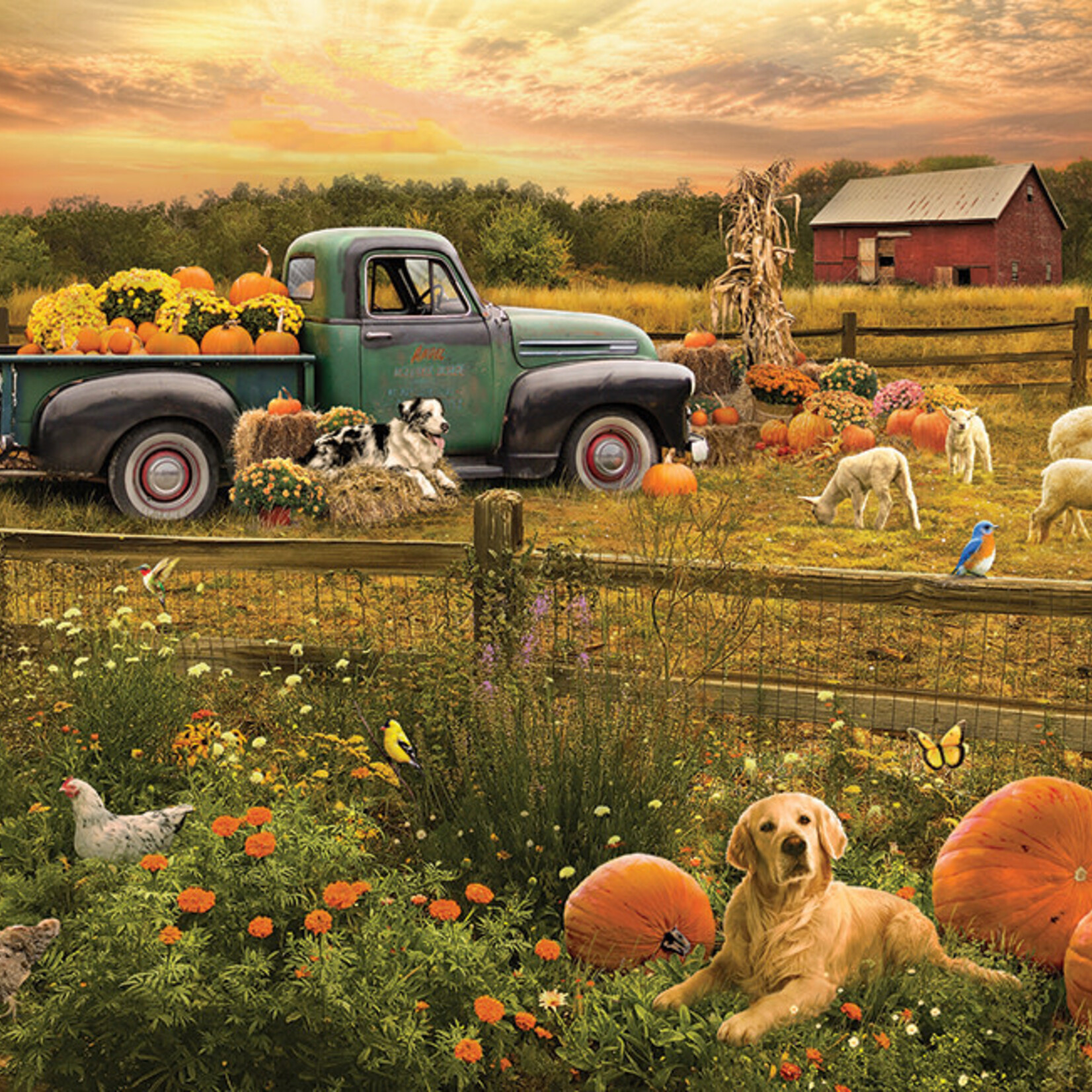 Cobble Hill Cobble Hill 1000 Harvest Time