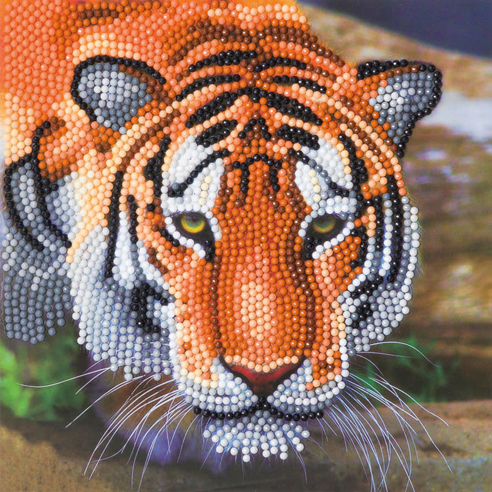Outset Media Games Crystal Art Carte Kit - Le Tigre