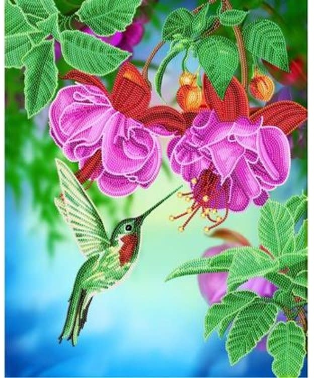 Craft Buddy Craft Buddy - Crystal Art - Hummingbird Dreams (40 x 50 cm)