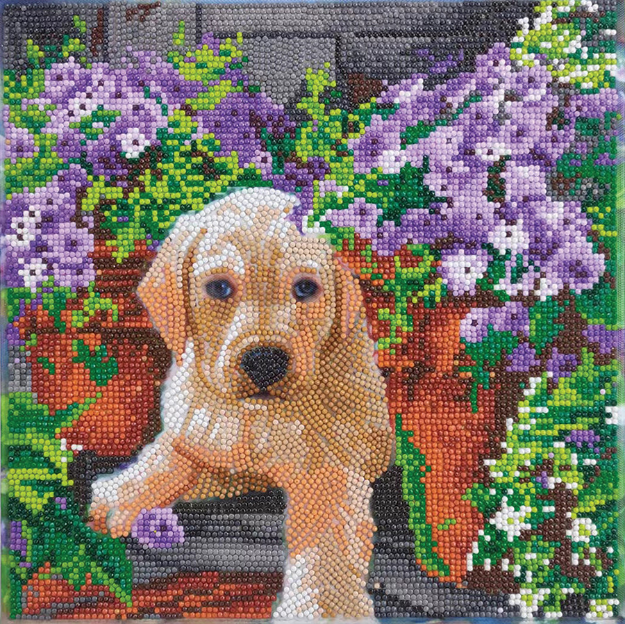 Craft Buddy Craft Buddy - Crystal Art - Floral Pup (30 x 30 cm)