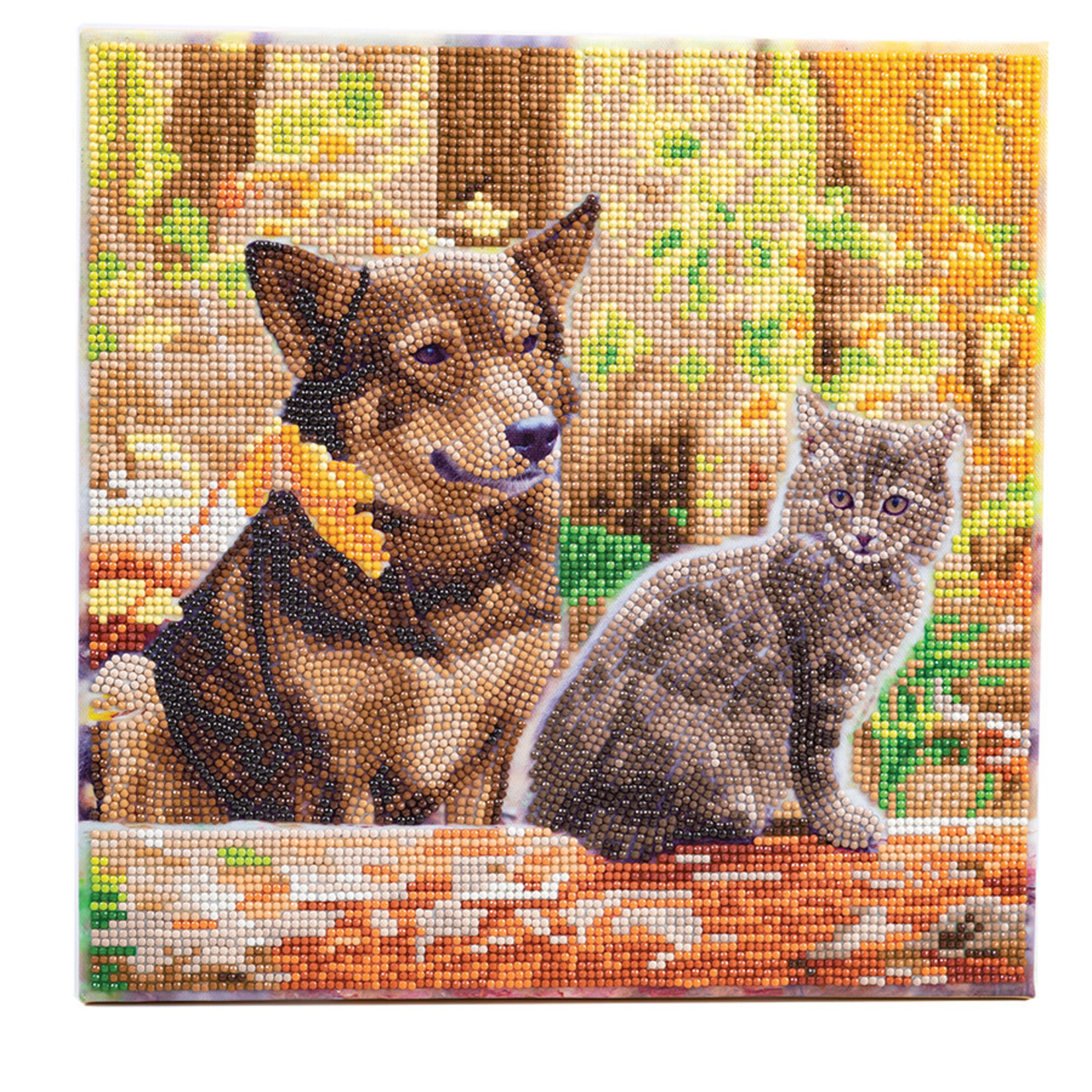 Craft Buddy Craft Buddy - Crystal Art - Cat & Dog in the Woods (30 x30 cm)