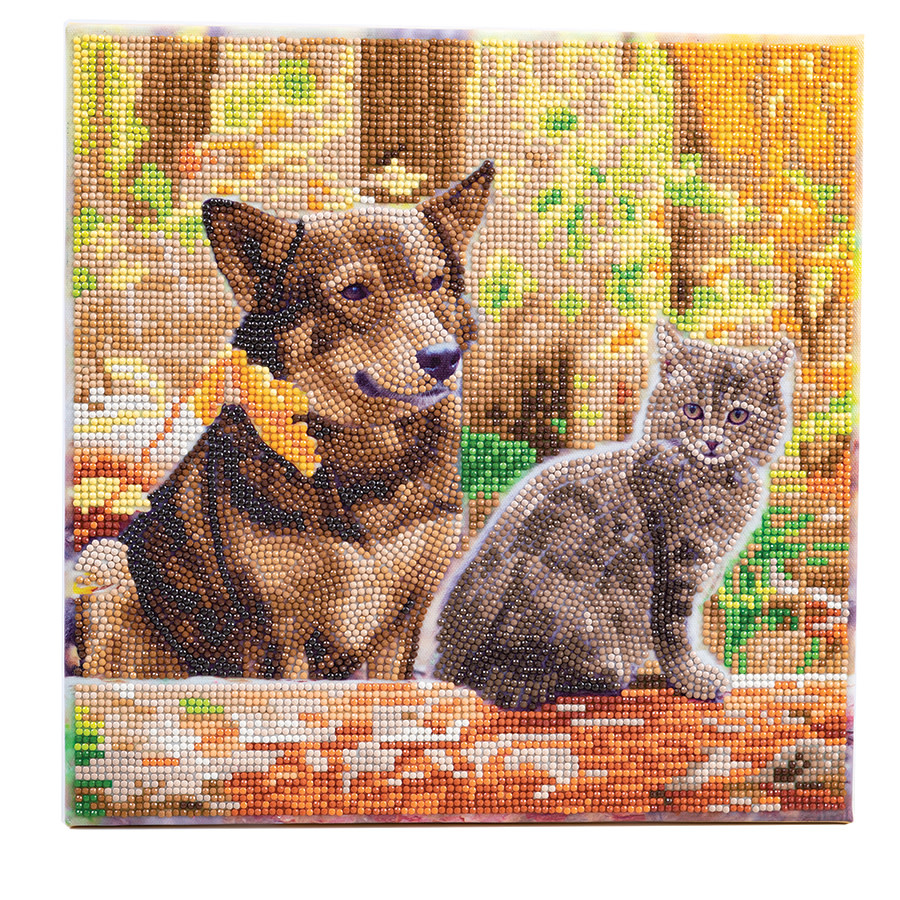 Craft Buddy Craft Buddy - Crystal Art - Cat & Dog in the Woods (30 x30 cm)