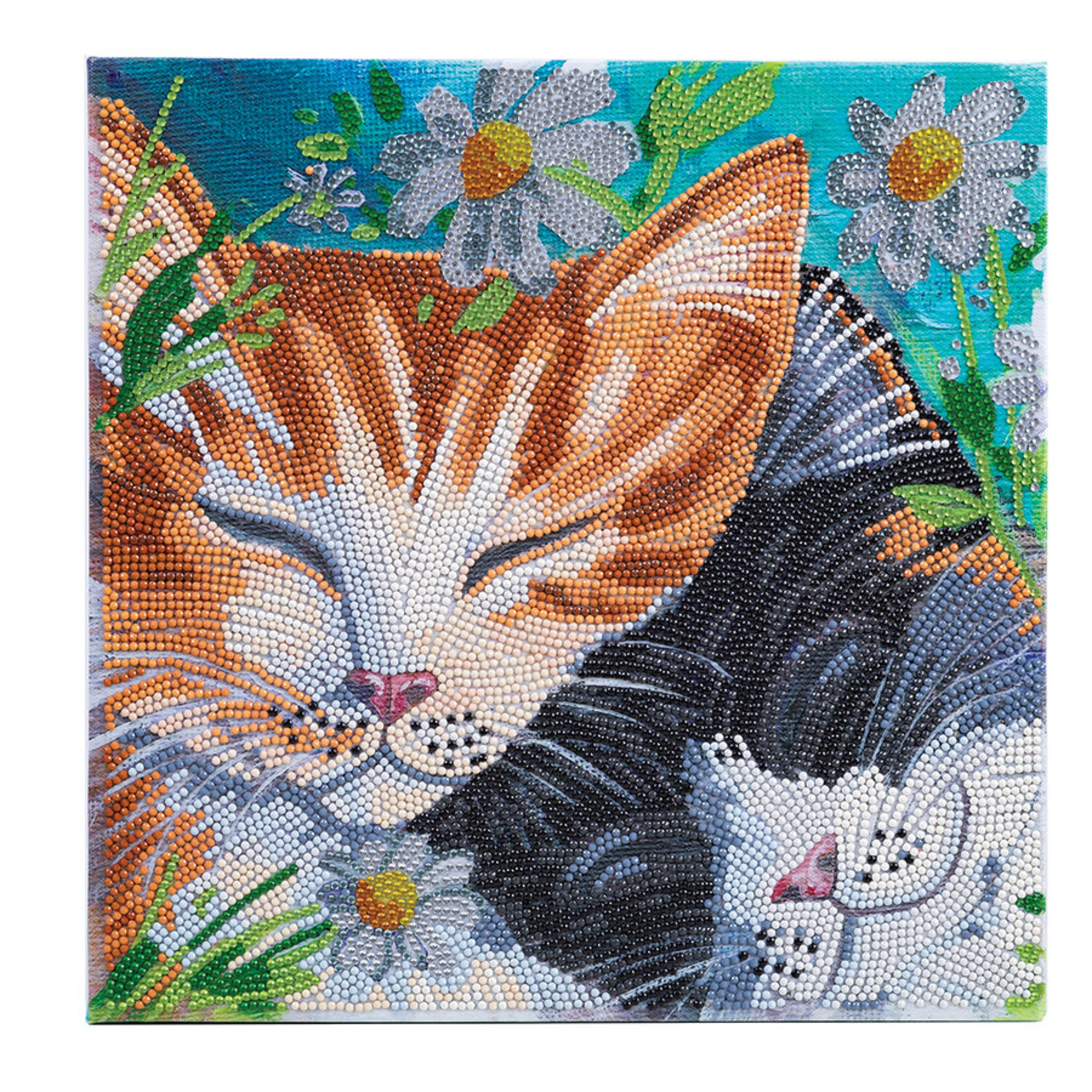 Craft Buddy Craft Buddy - Crystal Art - Sleepy Cats (30 x 30 cm)