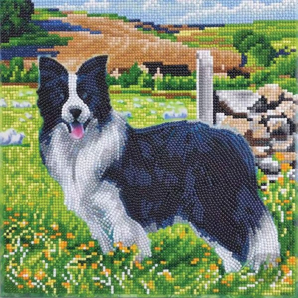 Craft Buddy Craft Buddy - Crystal Art - Pup in the field (30 x 30 cm)