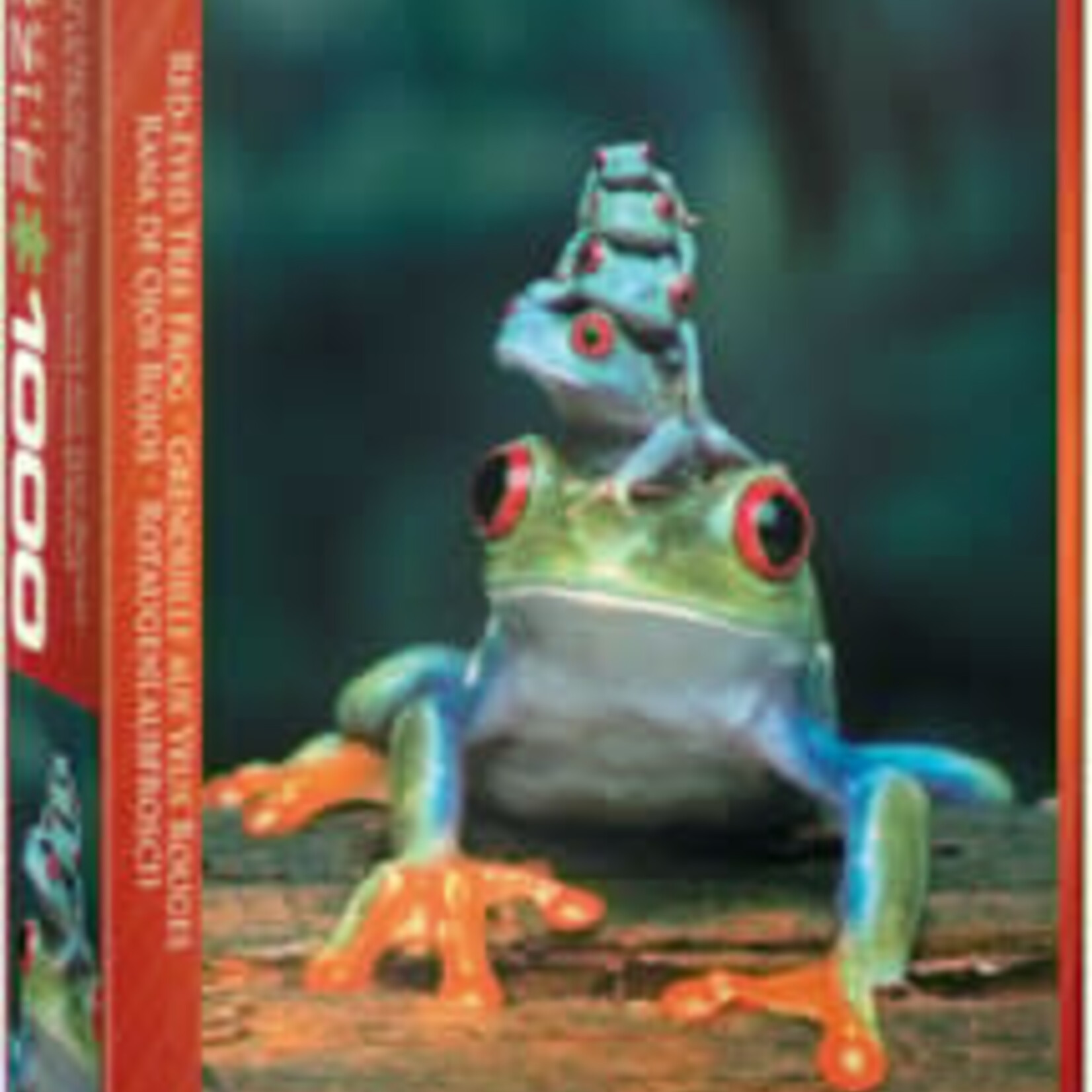 Eurographics *****Eurographics 1000 - Grenouille aux yeux rouges
