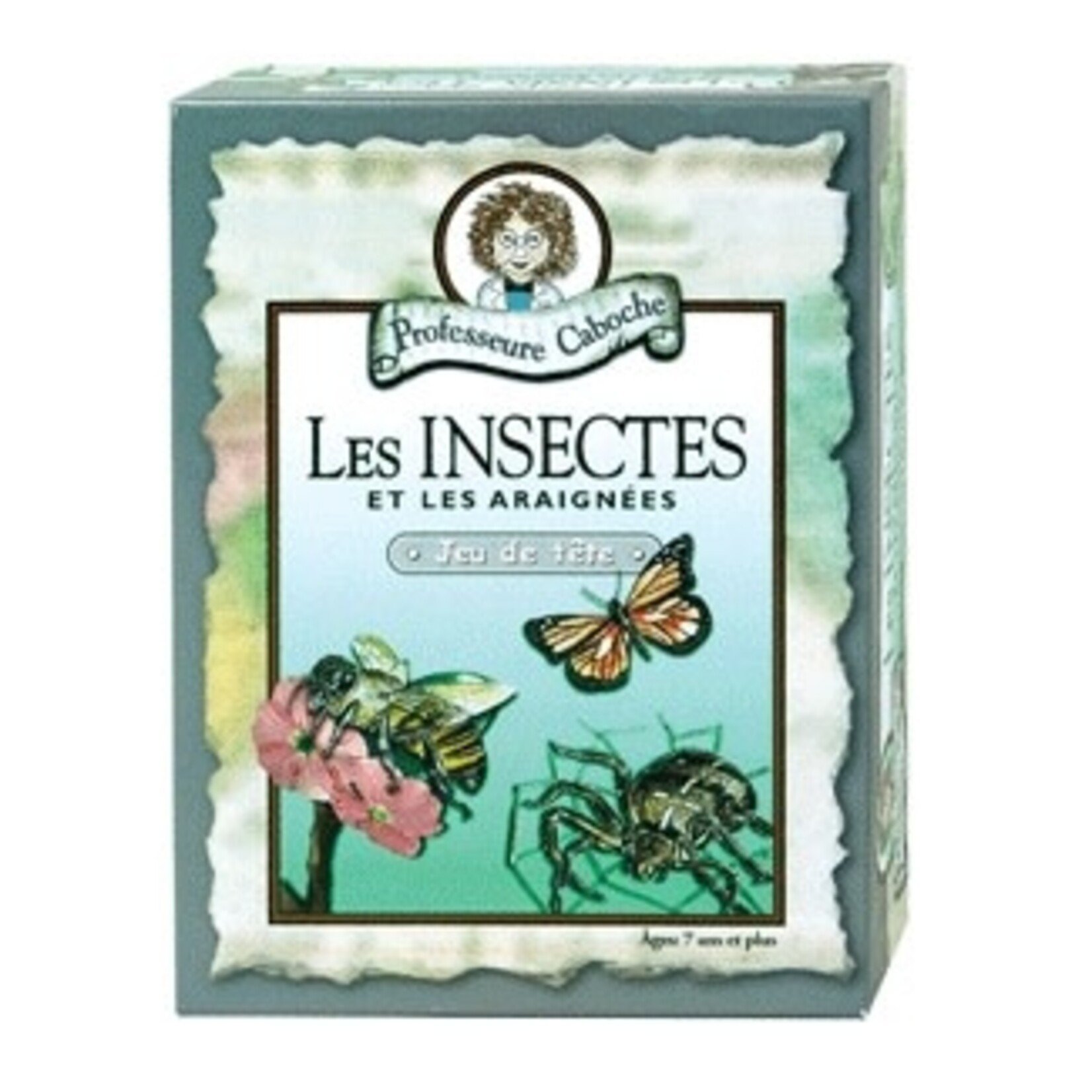 Professeure Caboche Professeure Caboche - Les insectes et les araignées