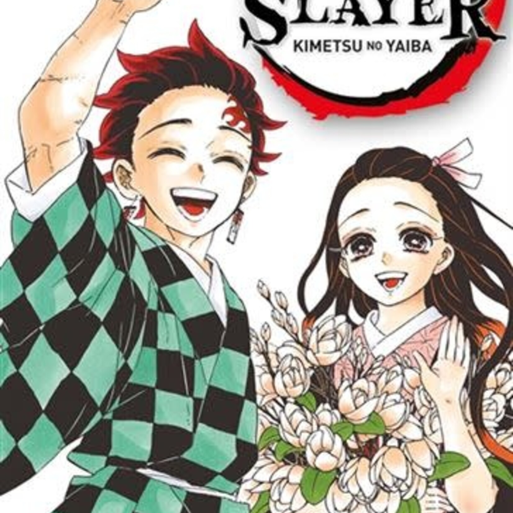 Panini Manga Manga - Demon Slayer Tome 23