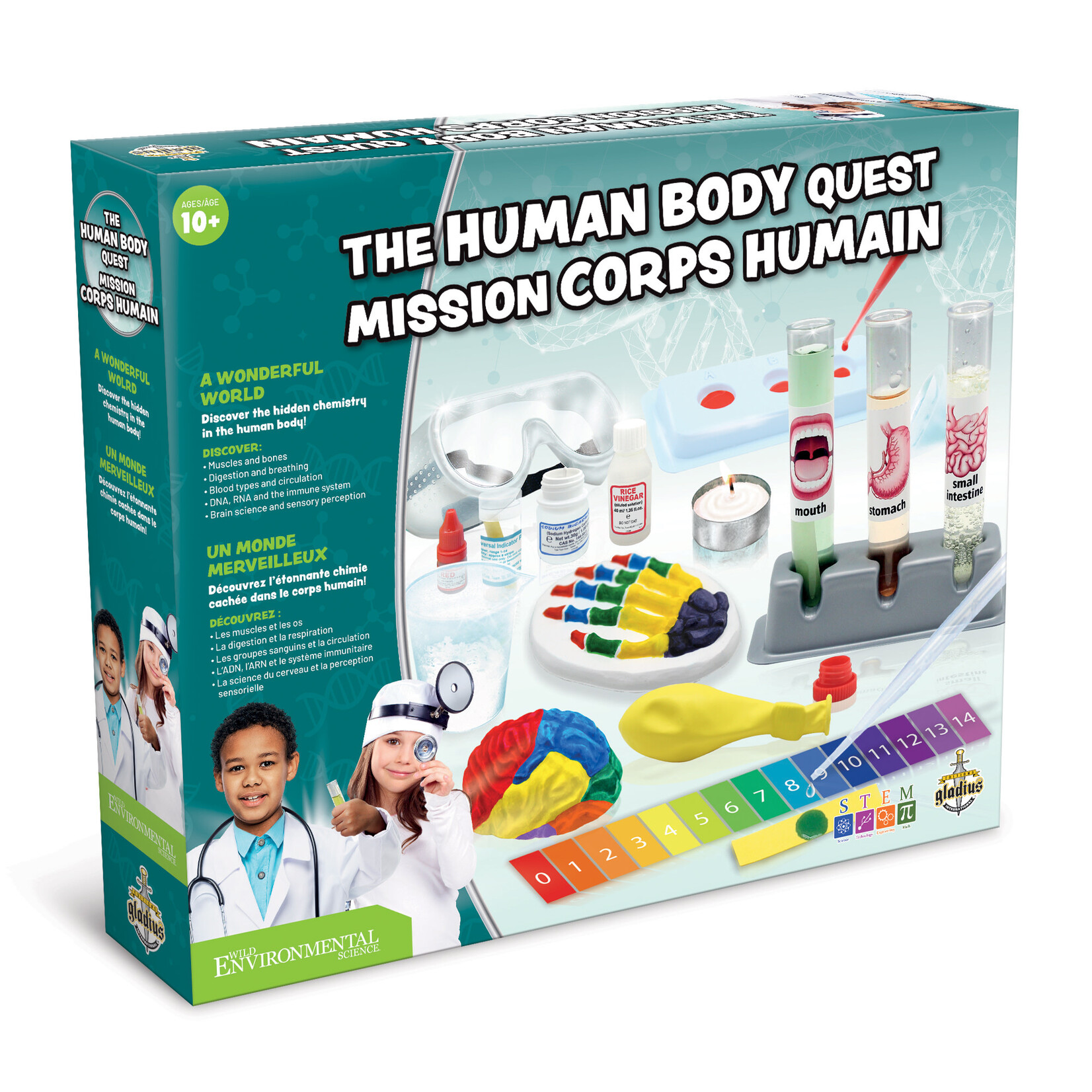 Gladius Wild Environmental Science - Médecin : Le corps humain