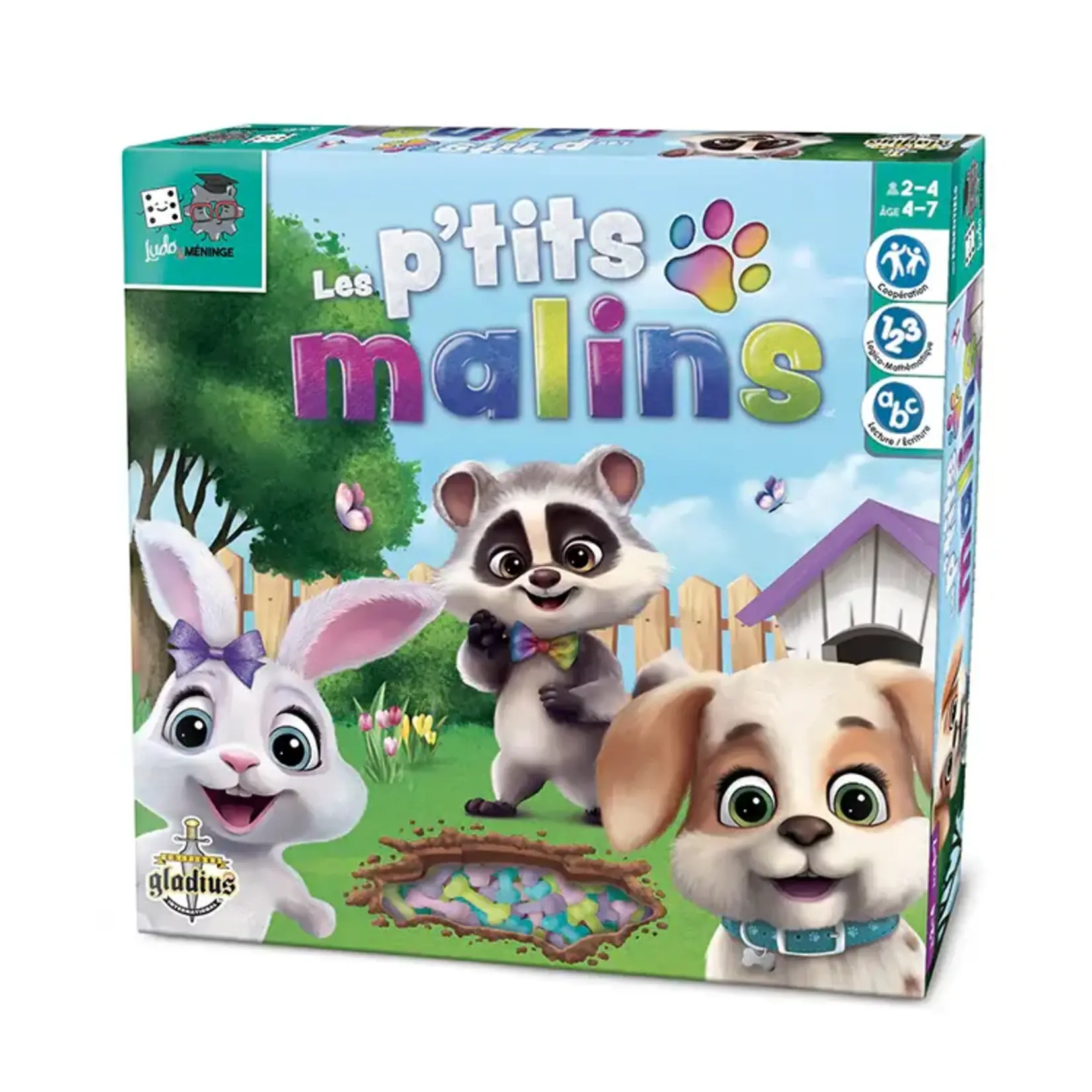 Gladius Ludo Méninge - Les p'tits malins