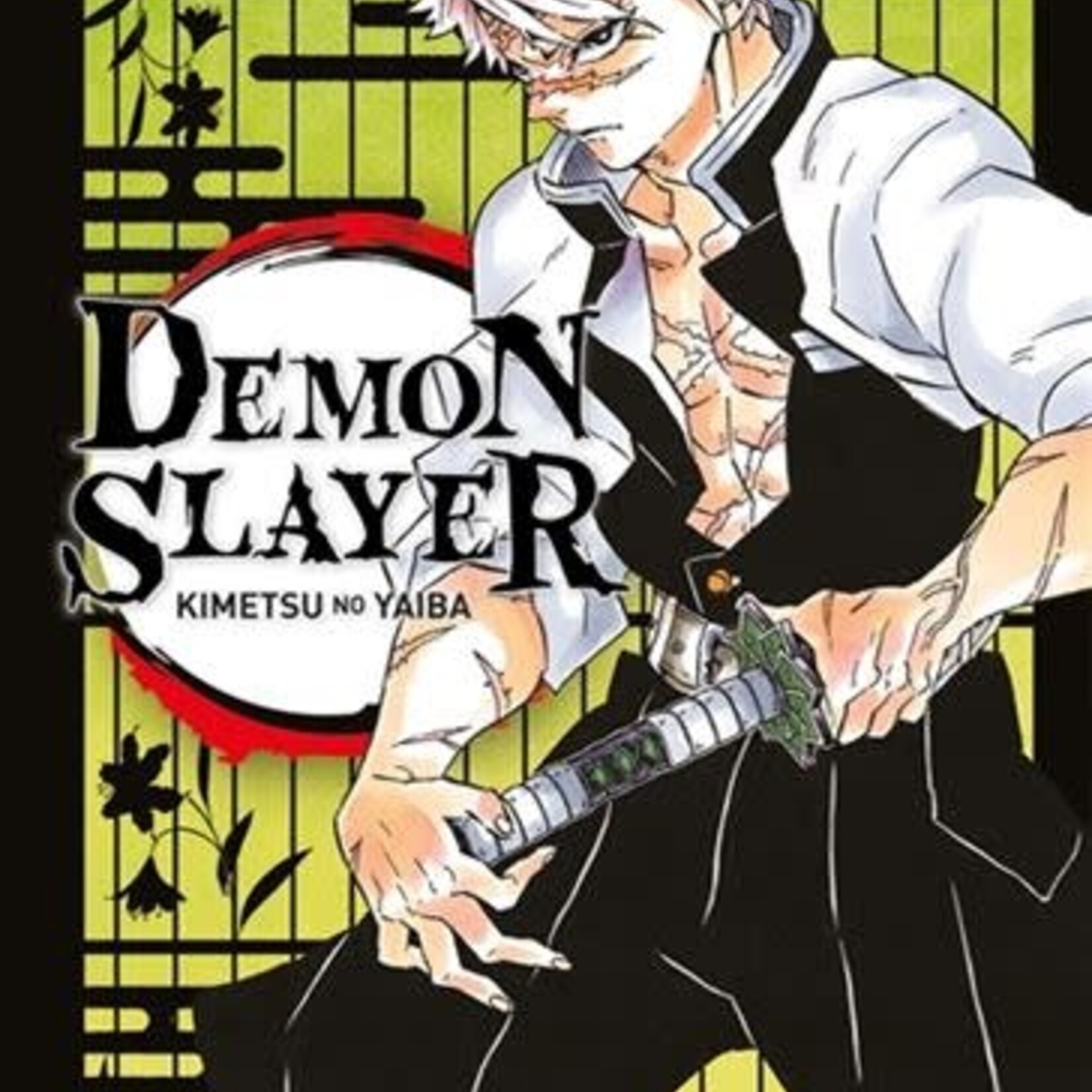 Panini Comics Manga - Demon Slayer Tome 17