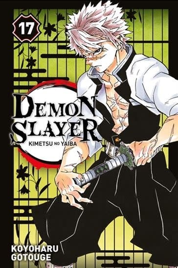 Panini Comics Manga - Demon Slayer Tome 17